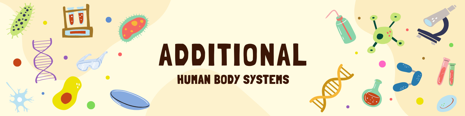 Unit 9: Additional Human Body Systems Banner