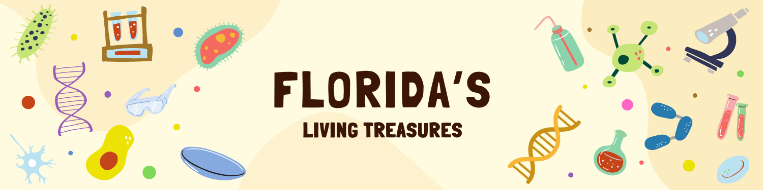 Unit 10: Florida
