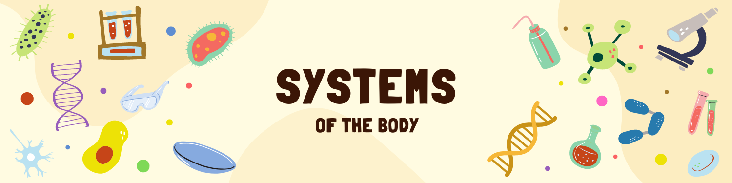 Unit 8: Systems of the Body Banner