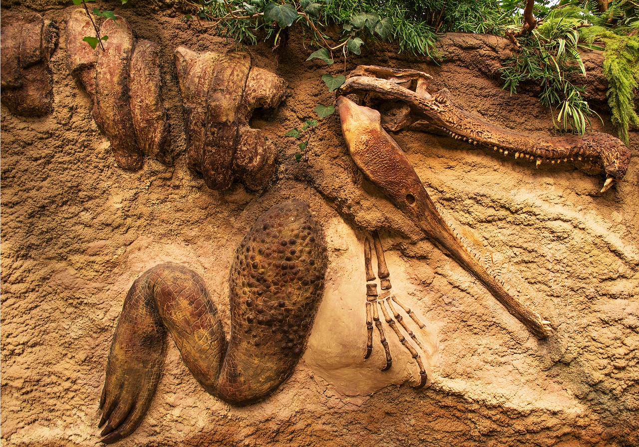 Click Image to launch Interactive Presentation on Geologic History and Fossils