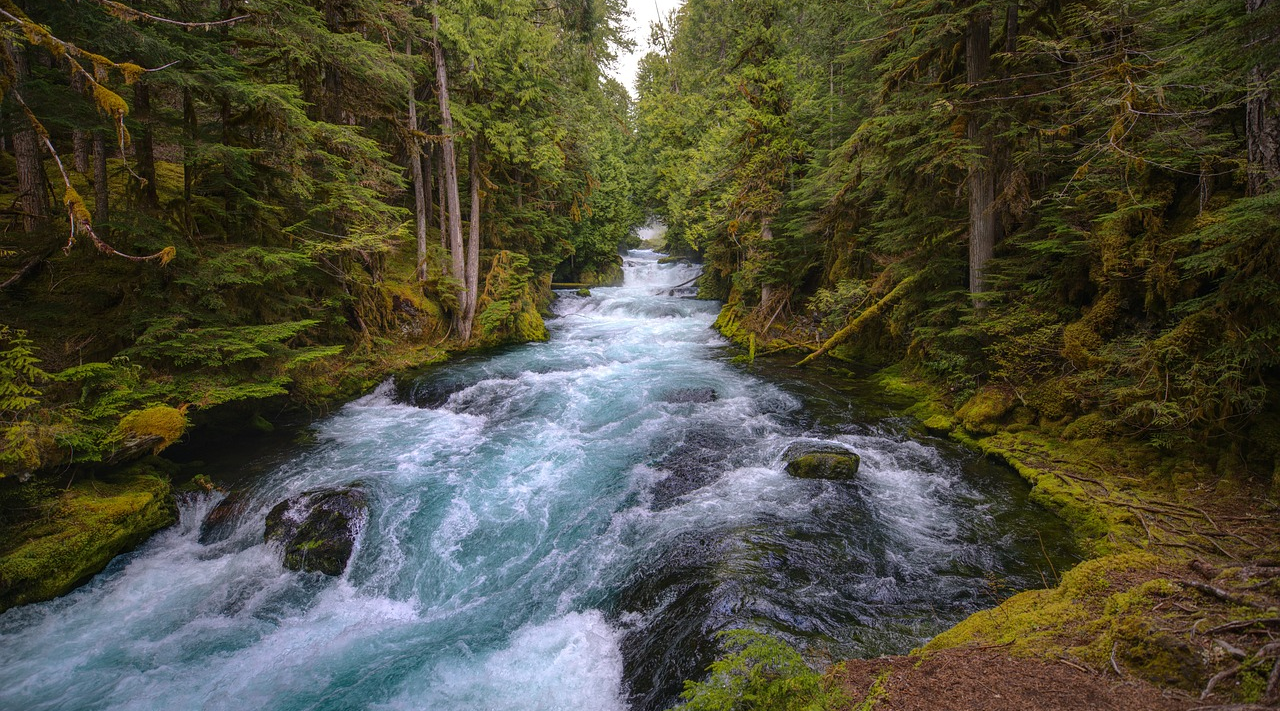 Click Image to view Interactive Presentation on Rivers