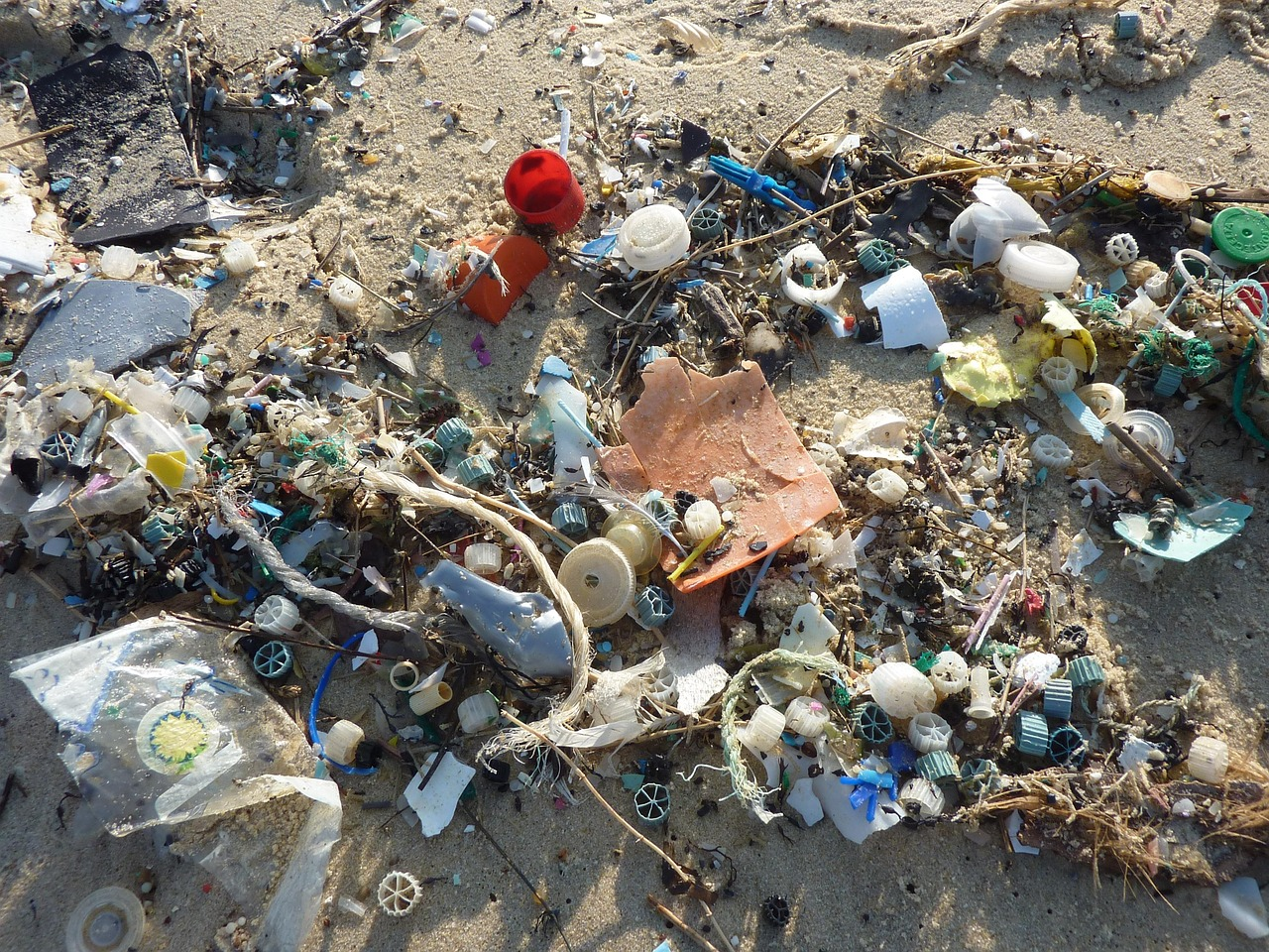 Marine Pollution Interactive