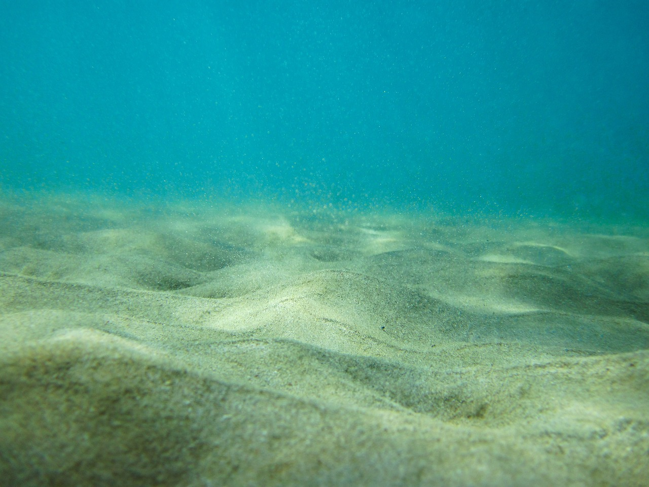 The Ocean Floor interactive