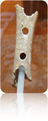 Archaeology Image